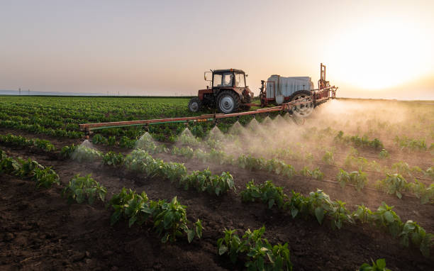 Professional Pest Control in South Apopka, FL