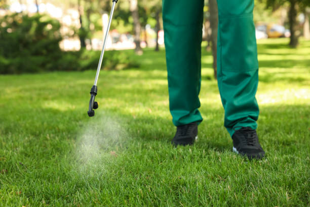 Best Commercial Pest Control Services  in South Apopka, FL