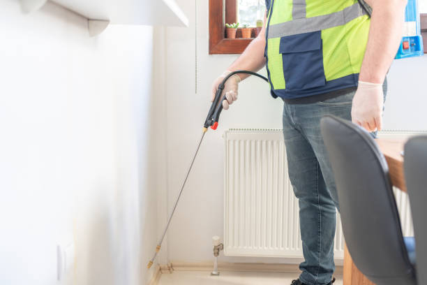 Best Emergency Pest Control  in South Apopka, FL