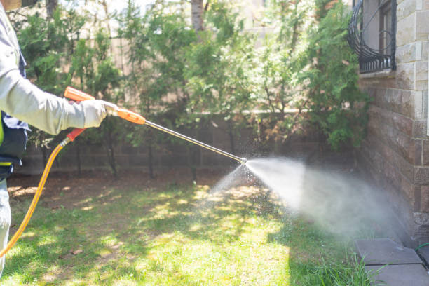 Spider Control Near Me in South Apopka, FL