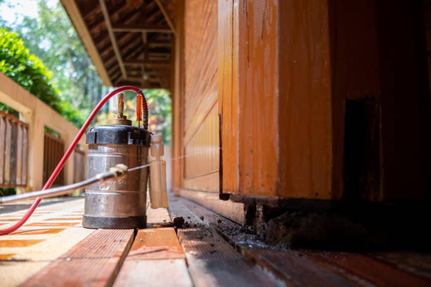 Best Pest Inspection Near Me  in South Apopka, FL