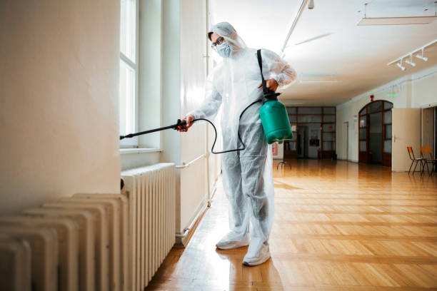 Wildlife Control Services in South Apopka, FL